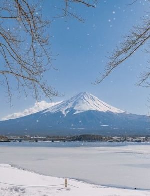 IMG_0005