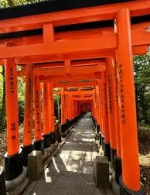 images (10)